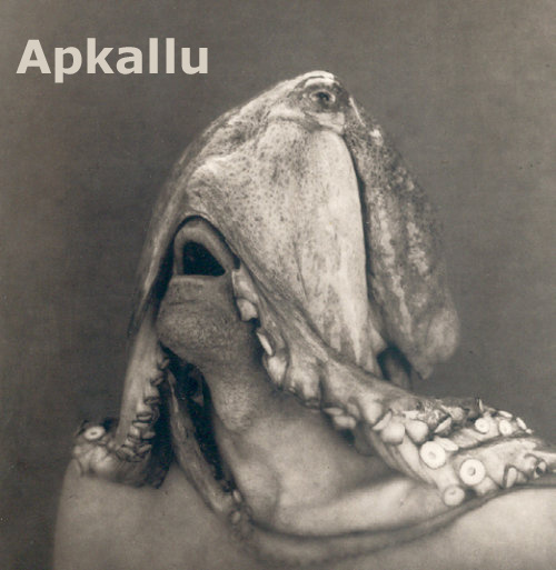 Apkallu - cover