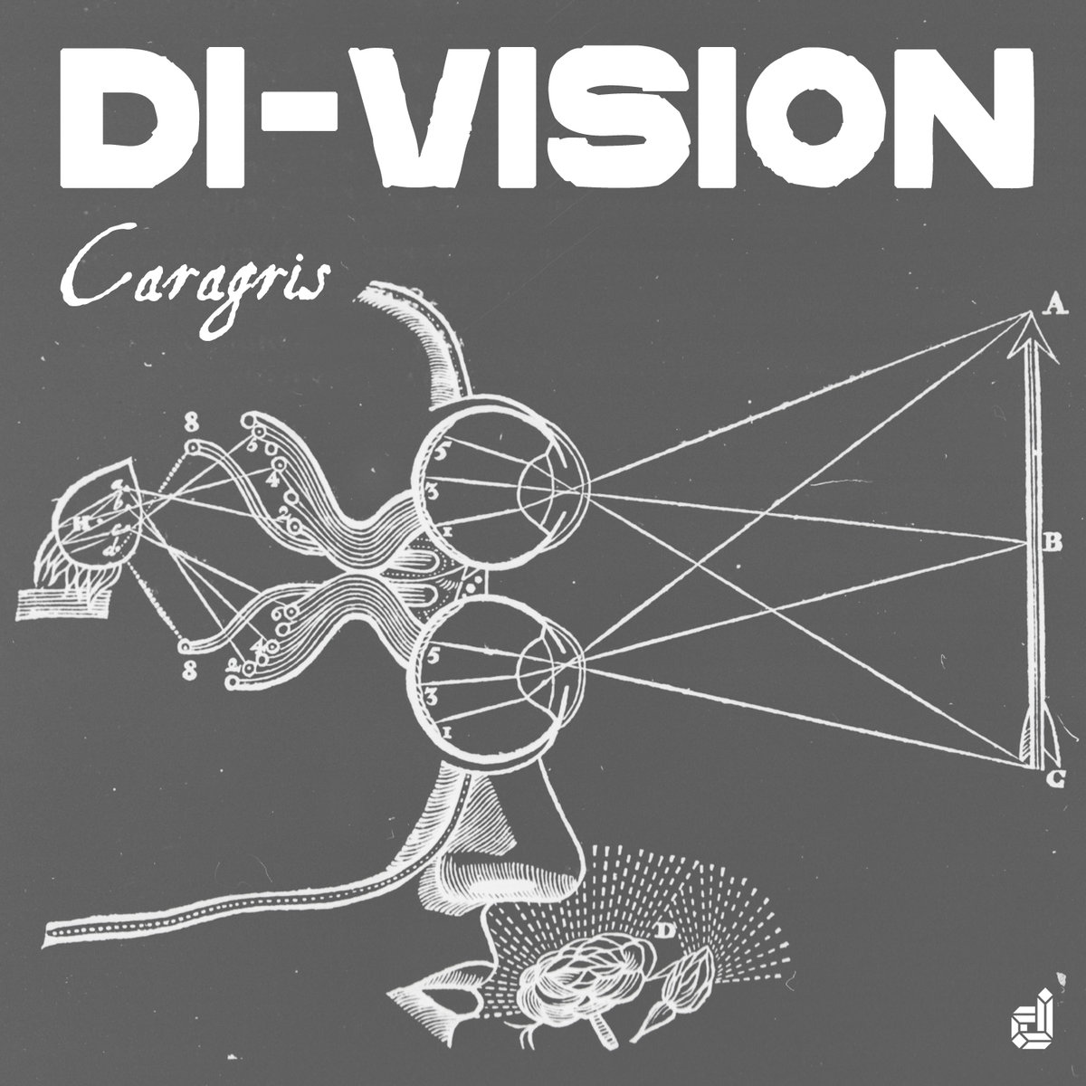 DI​-​VISION by Caragris