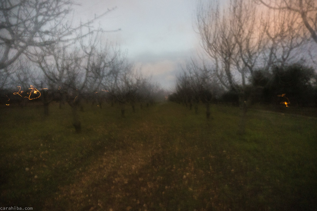 Valle d'Itria by night. Low light hand held photo.